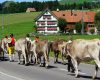 culture-interlaken